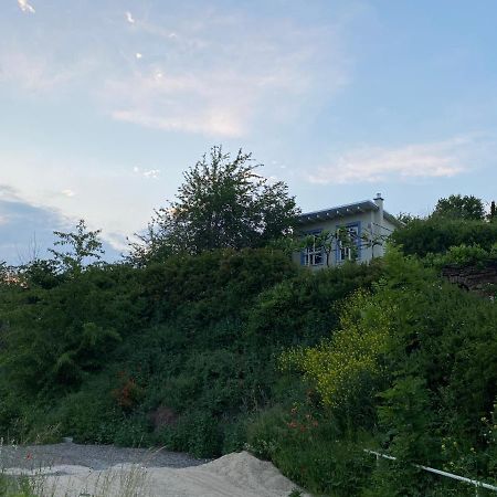 Weinbergshaus Mit Blick Auf'S Wasser Salzatal Bagian luar foto