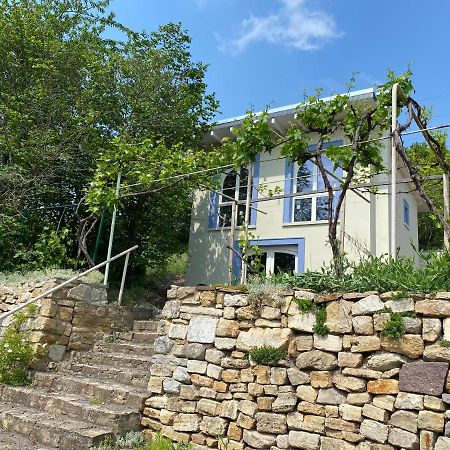 Weinbergshaus Mit Blick Auf'S Wasser Salzatal Bagian luar foto