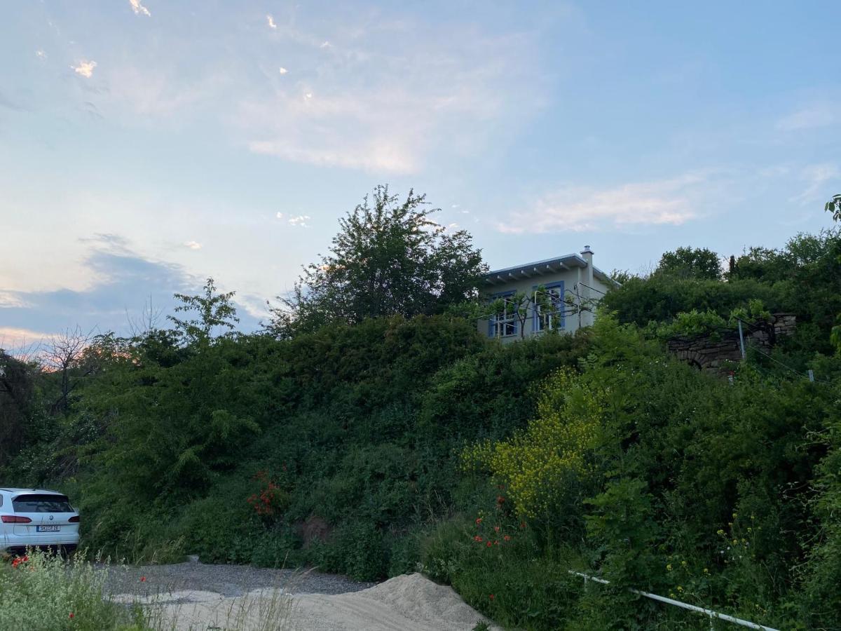 Weinbergshaus Mit Blick Auf'S Wasser Salzatal Bagian luar foto