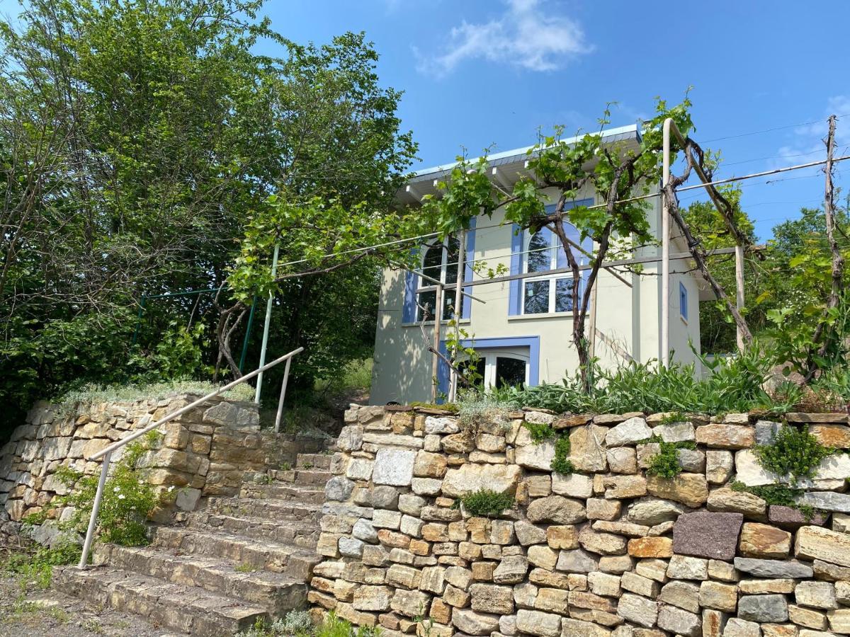 Weinbergshaus Mit Blick Auf'S Wasser Salzatal Bagian luar foto